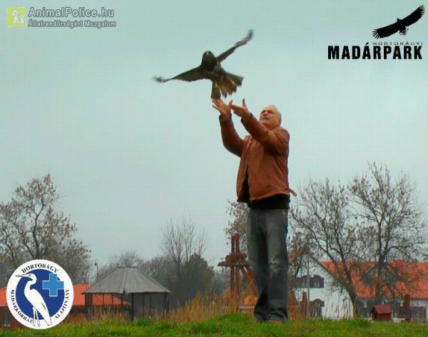 Hortobágyi Madárpark – Madárkórház Alapítvány