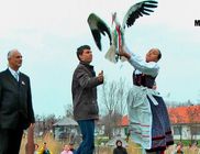 Hortobágyi Madárpark – Madárkórház Alapítvány