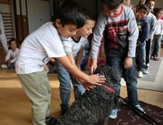 Kutyaszív Állatmentő Közhasznú Alapítvány